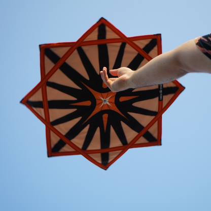 The Day Star