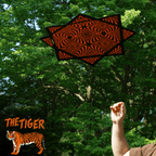 The Tiger - Circa Spin Stars